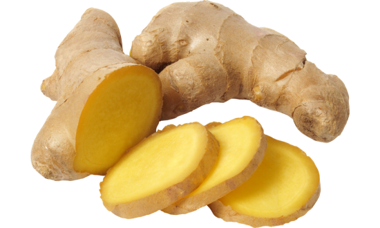Ginkgo biloba